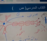 الدراسة عن بعد عبر المنصة التعليمية بمدارسنا مع حضور مميز للطلاب وجاهزية عالية استجابة لتعليق الدراسة الحضورية خلال اليوم وفقا للتقارير الواردة من المركز الوطني للأرصاد وحرصًا على سلامة الطلاب والهيئة التعليمية والإدارية